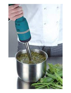 BRAZO TRITURADOR EDESA TBVV 250W 2