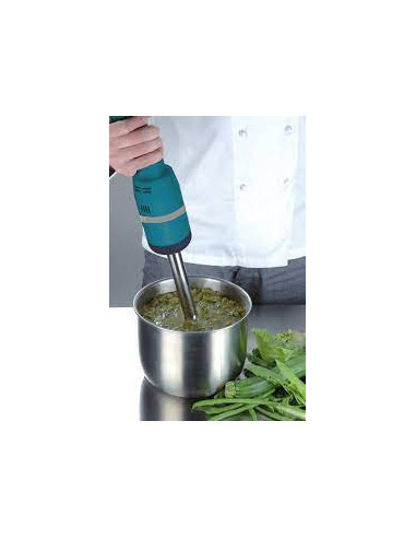 BRAZO TRITURADOR EDESA TBVV 250W