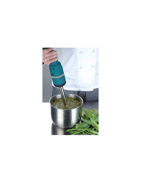 BRAZO TRITURADOR EDESA TBVV 300W